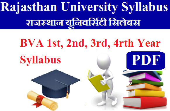 Rajasthan University BVA Syllabus Pdf 2024 - Bachelor of Visual Arts Syllabus