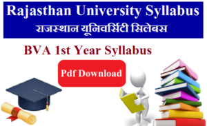 UNIRAJ BVA 1st Year Syllabus 2023 Pdf Download - Rajasthan University