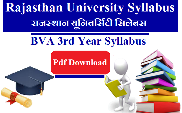 UNIRAJ BVA 3rd Year Syllabus 2024 Pdf Download - Rajasthan University